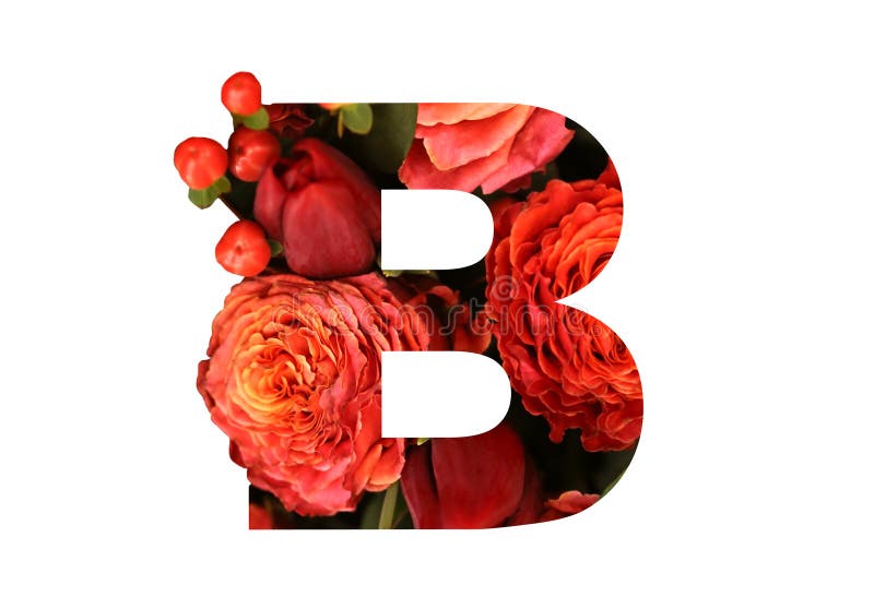 Floral γράμμα Β πηγών από πραγματικά κόκκινος-πορτοκαλιά τριαντάφυλλα για το φωτεινό σχέδιο Μοντέρνη πηγή των λουλουδιών για τις στοκ εικόνες με δικαίωμα ελεύθερης χρήσης Floral γράμμα Β πηγών από πραγματικά κόκκινος-πορτοκαλιά τριαντάφυλλα για το φωτεινό σχέδιο Μοντέρνη πηγή των λουλουδιών για τις στοκ εικόνες με δικαίωμα ελεύθερης χρήσης