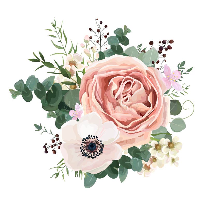 Floral διανυσματικό σχέδιο καρτών: lavender λουλουδιών κήπων ρόδινο ροδάκινο Ros ελεύθερη απεικόνιση δικαιώματος