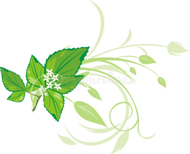 Floral κλαδάκι διακοσμήσεων &mu διανυσματική απεικόνιση
