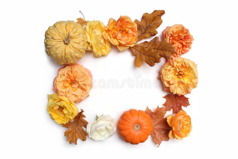 Floral πλαίσιο φθινοπώρου φιαγμένο από ζωηρόχρωμο σφένδαμνο, δρύινα φύλλα, κολοκύθες και εξασθενίζοντας τριαντάφυλλα που απομονών στοκ εικόνες με δικαίωμα ελεύθερης χρήσης Floral πλαίσιο φθινοπώρου φιαγμένο από ζωηρόχρωμο σφένδαμνο, δρύινα φύλλα, κολοκύθες και εξασθενίζοντας τριαντάφυλλα που απομονών στοκ εικόνες με δικαίωμα ελεύθερης χρήσης