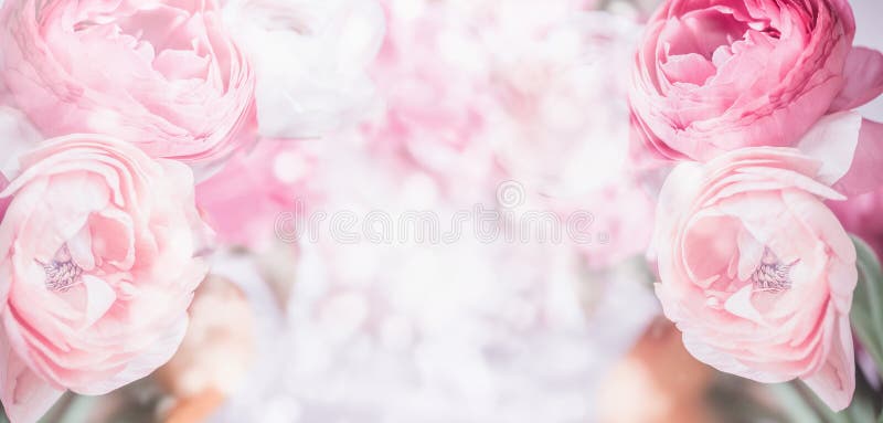 Floral σύνορα με στενό επάνω των ρόδινων χλωμών λουλουδιών και bokeh του υποβάθρου Εορταστικός χαιρετισμός κρητιδογραφιών στοκ εικόνες με δικαίωμα ελεύθερης χρήσης