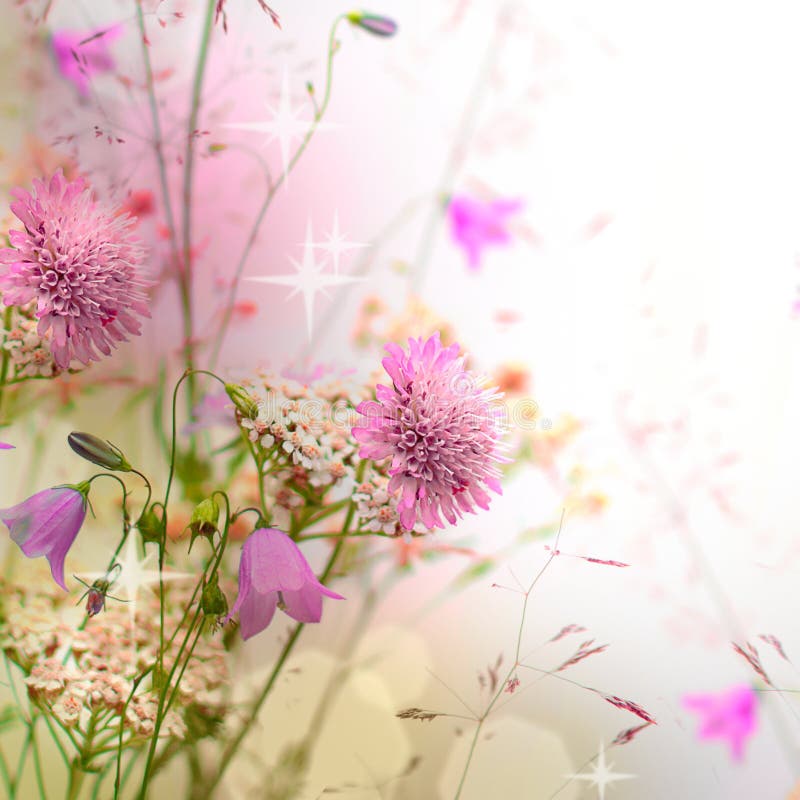 Floral σύνορα, όμορφη θολωμένη ανασκόπηση στοκ φωτογραφία