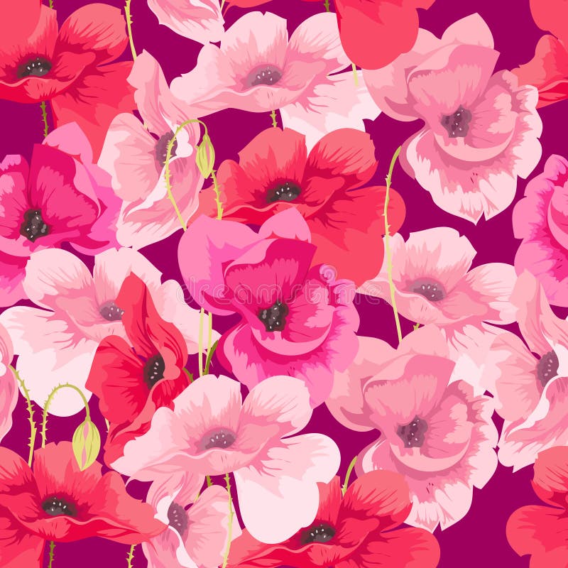 Florece amapolas libre illustration