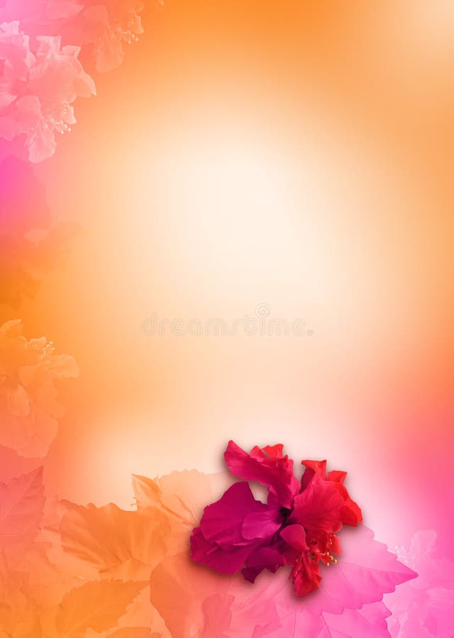 Florece el fondo, naranja, color de rosa