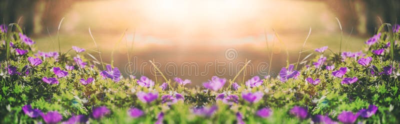 Florece las campanas del fondo del campo Paisaje del resorte tono imagenes de archivo Florece las campanas del fondo del campo Paisaje del resorte tono imagenes de archivo