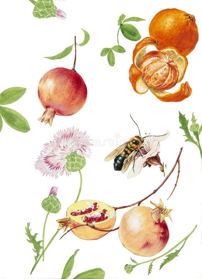 Flores stock de ilustración