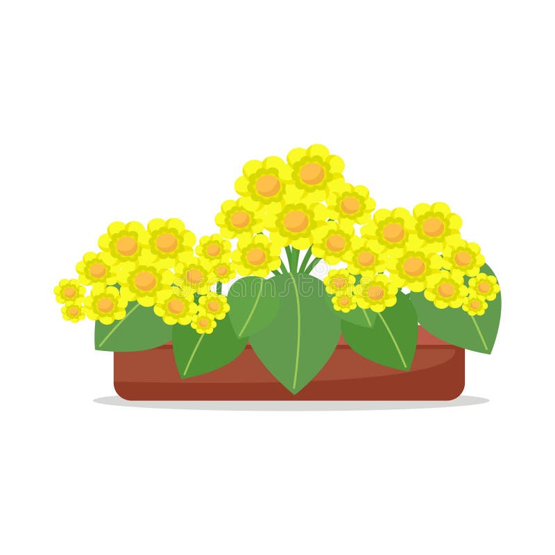 Flores Amarillas En Una Olla De Las Plantas De Casa Lindo Flores  Exuberantes Ilustración De Vector En Dibujos Animados De Estilo P  Ilustración del Vector - Ilustración de arbustos, pétalos: 220707720