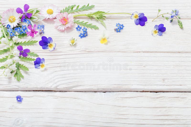 Belas flores sobre fundo de madeira imagem de stock