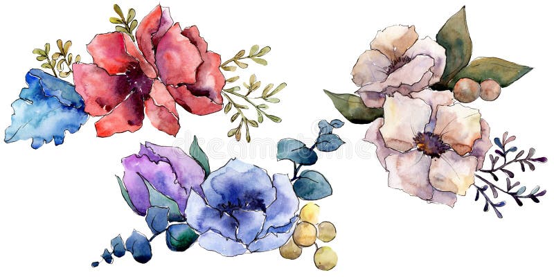 Flores bot?nicas florales del ramo Sistema del ejemplo del fondo de la acuarela Elemento aislado del ejemplo de los ramos libre illustration Flores bot?nicas florales del ramo Sistema del ejemplo del fondo de la acuarela Elemento aislado del ejemplo de los ramos libre illustration