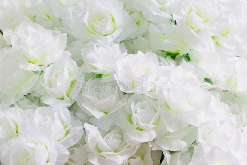 Flores Brancas Do Jasmim Artificial Imagem de Stock - Imagem de bonito,  artesanal: 82508797