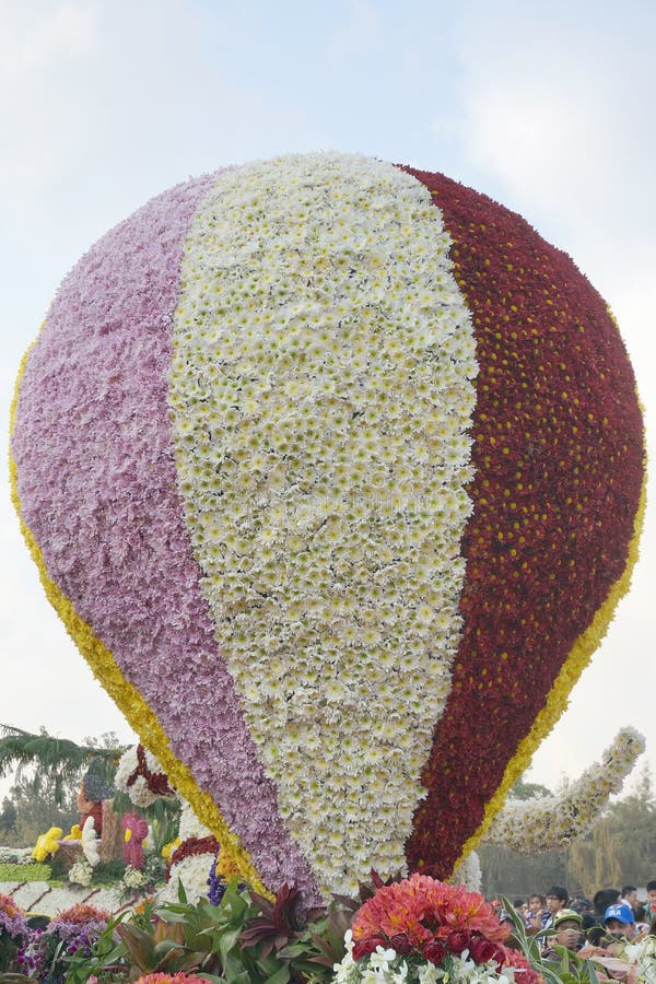 Yellow, purple and white Chrysanthemum and red Daisy flowers arranged to resemble giant balloon displayed in Baguio, Philippines, Southeast Asia. Photo taken on March 1, 2015. Yellow, purple and white Chrysanthemum and red Daisy flowers arranged to resemble giant balloon displayed in Baguio, Philippines, Southeast Asia. Photo taken on March 1, 2015.