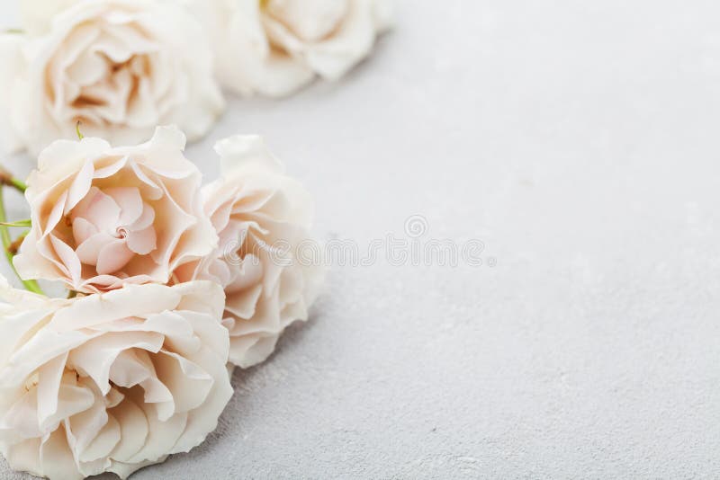 Flores Color De Rosa Del Vintage Hermoso En La Tabla De Piedra Gris Frontera Floral Rosada Color En Colores Pastel Imagen de archivo - Imagen de pastel, color: 86066137 Flores Color De Rosa Del Vintage Hermoso En La Tabla De Piedra Gris Frontera Floral Rosada Color En Colores Pastel Imagen de archivo - Imagen de pastel, color: 86066137