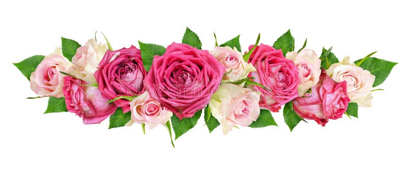 Flores Color De Rosa Hermosas Del Rosa Y Blancas En Un Arreglo Floral  Imagen de archivo - Imagen de tapa, rosa: 142064541