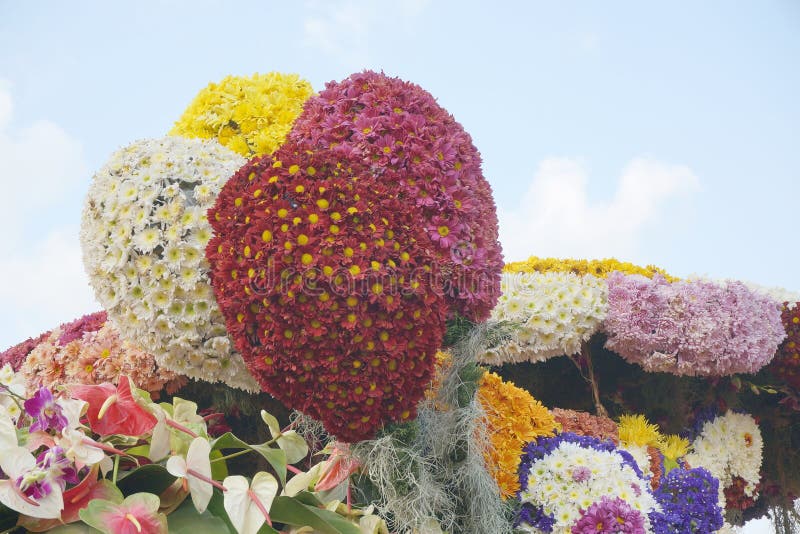 Yellow and white Chrysanthemum and pink and red Daisy flowers arranged to resemble balloons displayed in Baguio, Philippines, Southeast Asia. Photo taken on March 1, 2015. Yellow and white Chrysanthemum and pink and red Daisy flowers arranged to resemble balloons displayed in Baguio, Philippines, Southeast Asia. Photo taken on March 1, 2015.