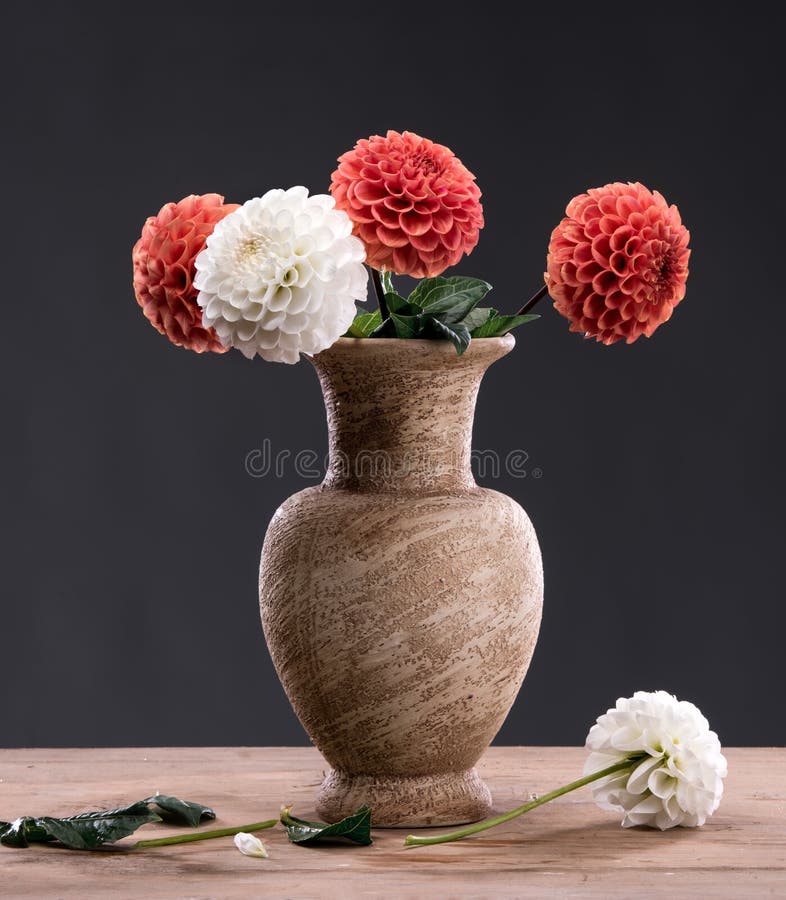 Flores da dália no vaso foto de stock. Imagem de delicado - 60841812