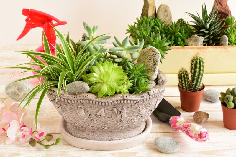 Flores de vaso imagem de stock royalty free