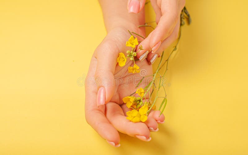 Flores de arte manual cosméticos naturales mujeres, amarillo hermoso, flores de primavera con maquillaje de contraste brillante, imagen de archivo libre de regalías Flores de arte manual cosméticos naturales mujeres, amarillo hermoso, flores de primavera con maquillaje de contraste brillante, imagen de archivo libre de regalías