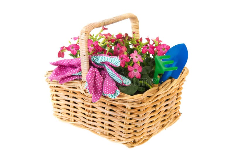 Flores de cesta para cultivar un huerto imagenes de archivo Flores de cesta para cultivar un huerto imagenes de archivo