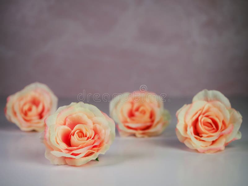 4 peach rose flower blooms sitting on a shiny white surface with a rose marble background.  Simple and elegant home decor. 4 peach rose flower blooms sitting on a shiny white surface with a rose marble background.  Simple and elegant home decor.