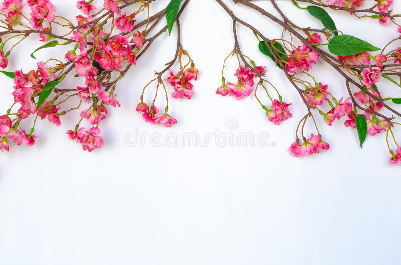 Flores De Flor Chinas Para El Año Nuevo Chino Foto de archivo - Imagen de ornamento, rosa: 207065402 Flores De Flor Chinas Para El Año Nuevo Chino Foto de archivo - Imagen de ornamento, rosa: 207065402