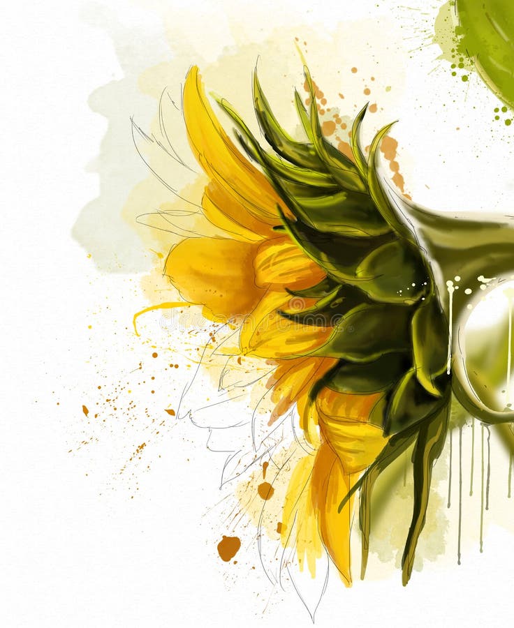 Flores de la acuarela Colección de los girasoles libre illustration Flores de la acuarela Colección de los girasoles libre illustration