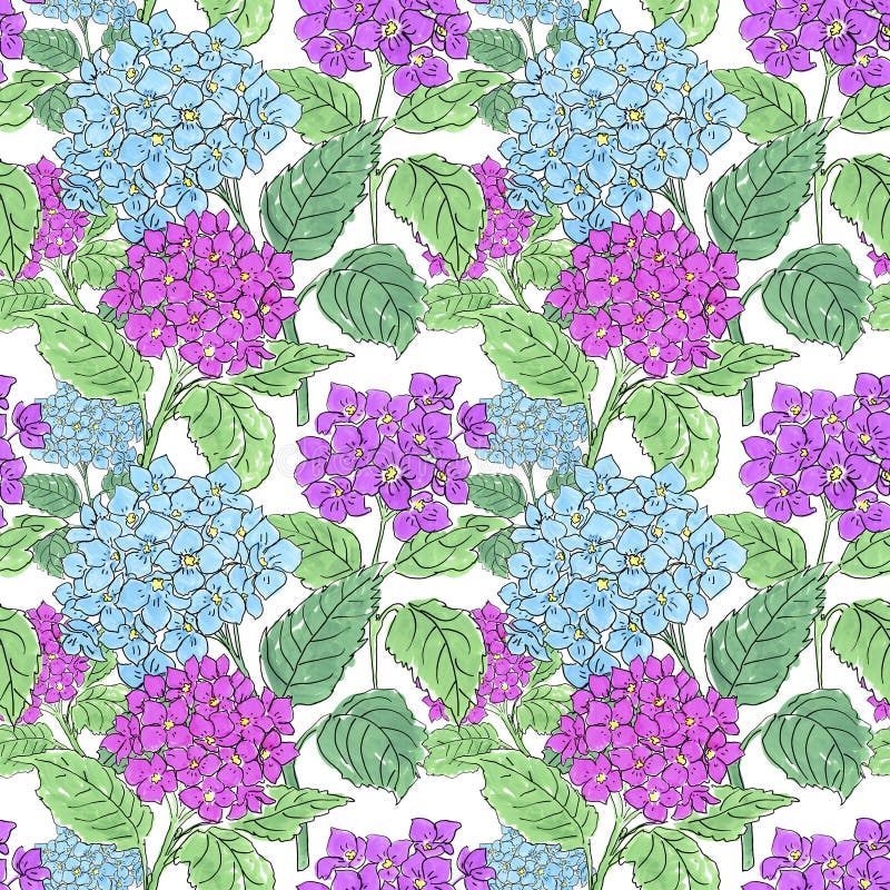 Flores de la hortensia en el fondo blanco Diseño floral para los cosméticos, perfume, productos del cuidado de la belleza ilustración del vector Flores de la hortensia en el fondo blanco Diseño floral para los cosméticos, perfume, productos del cuidado de la belleza ilustración del vector