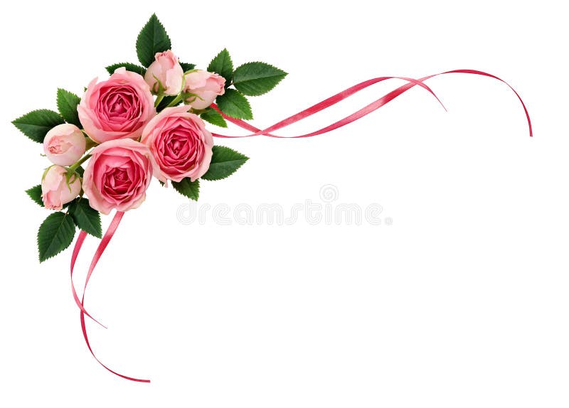 Flores de la rosa del rosa y cintas de satén agitadas en arrangemen de la esquina foto de archivo libre de regalías Flores de la rosa del rosa y cintas de satén agitadas en arrangemen de la esquina foto de archivo libre de regalías