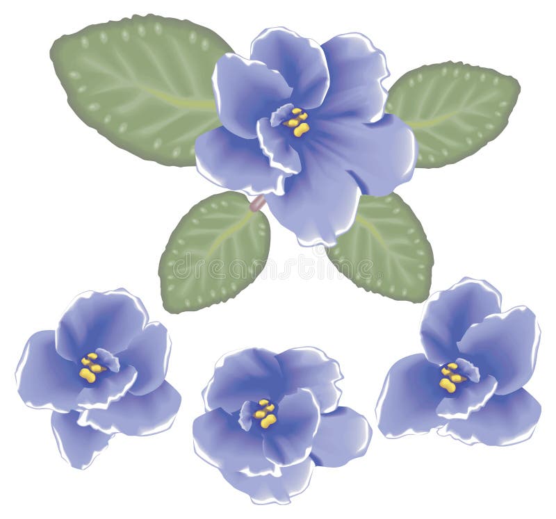 Flores De La Violeta Del Vector Ilustración del Vector - Ilustración de  bulbo, calma: 7770815