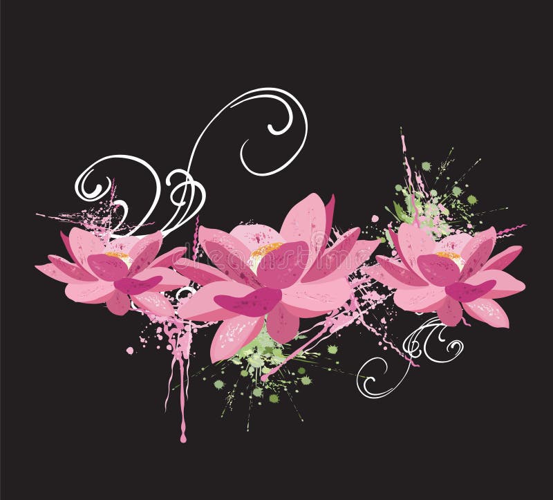 Flores de loto ilustración del vector Flores de loto ilustración del vector
