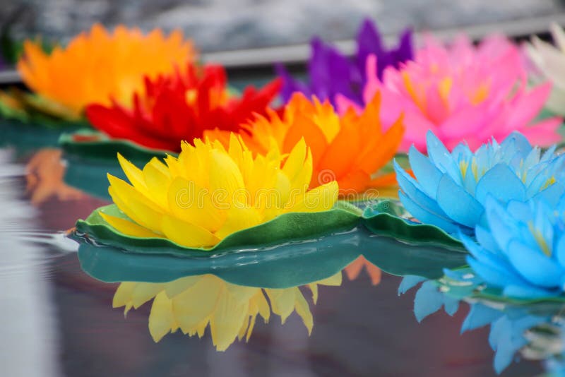 Flores de loto artificiales en los diversos colores que flotan en la superficie del agua con la reflexión hermosa imagenes de archivo Flores de loto artificiales en los diversos colores que flotan en la superficie del agua con la reflexión hermosa imagenes de archivo