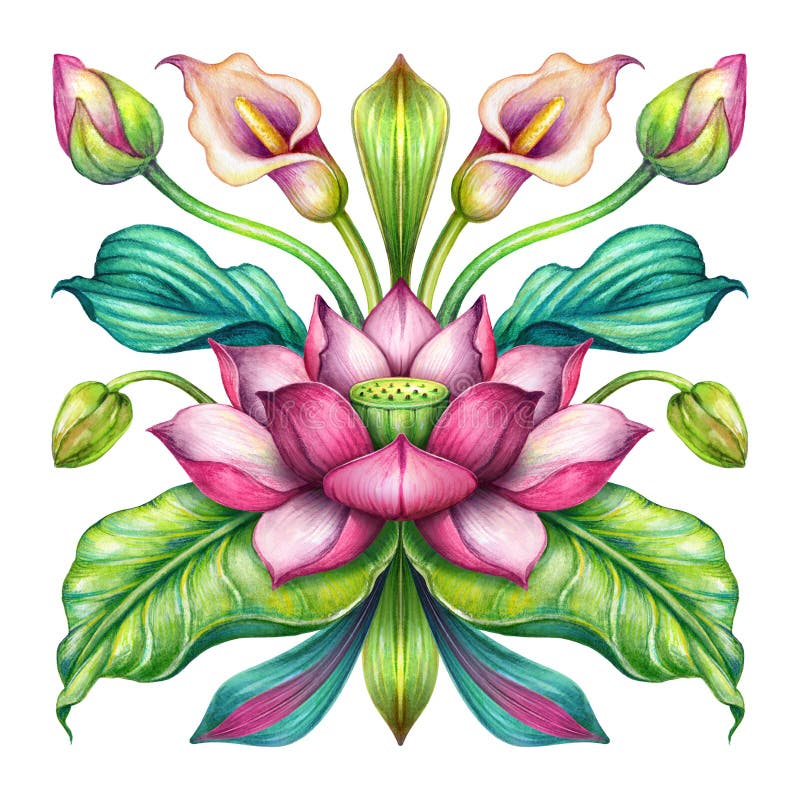 Pink lotus flowers with green leaves isolated on white background, oriental floral ornament, folklore motif, kerchief design, chinese embroidery pattern, boho fashion print, watercolor illustration. Pink lotus flowers with green leaves isolated on white background, oriental floral ornament, folklore motif, kerchief design, chinese embroidery pattern, boho fashion print, watercolor illustration