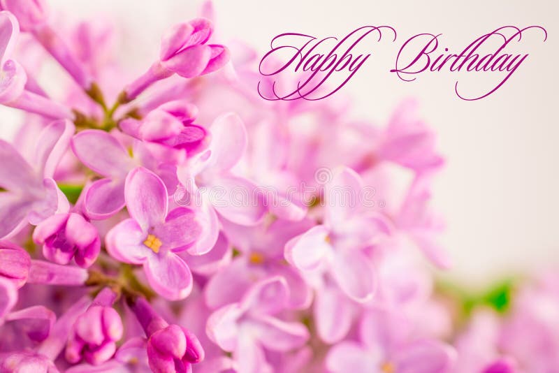 Flores de primavera lindas ramificações lilares cor-de-rosa. texto de aniversário feliz