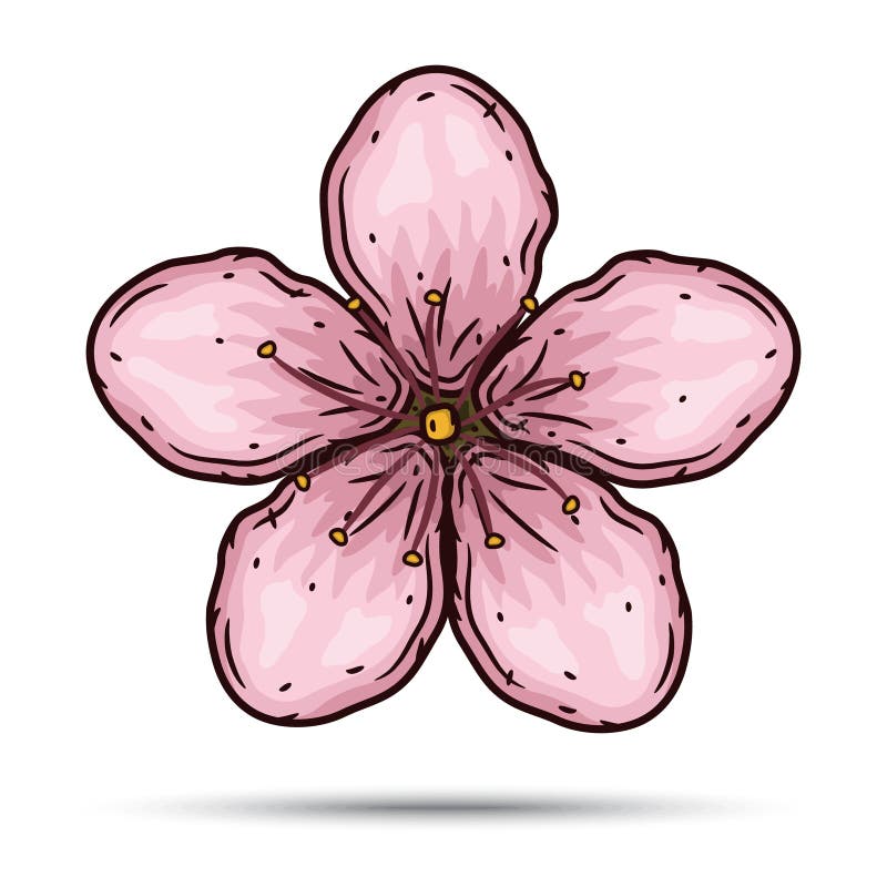 Flores De Sakura Flor De La Flor De Cerezo Ilustración Del Vector Ilustración del Vector - Ilustración de chino, hermoso: 87350176 Flores De Sakura Flor De La Flor De Cerezo Ilustración Del Vector Ilustración del Vector - Ilustración de chino, hermoso: 87350176