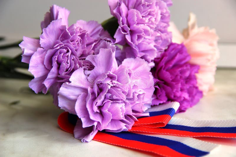 Flores del clavel ramo de flores, claveles violeta, lila y claveles rosados de las flores en el ramo cinta blanco-rojo-azul imágenes de archivo libres de regalías Flores del clavel ramo de flores, claveles violeta, lila y claveles rosados de las flores en el ramo cinta blanco-rojo-azul imágenes de archivo libres de regalías