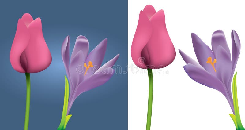 Flores del resorte libre illustration Flores del resorte libre illustration
