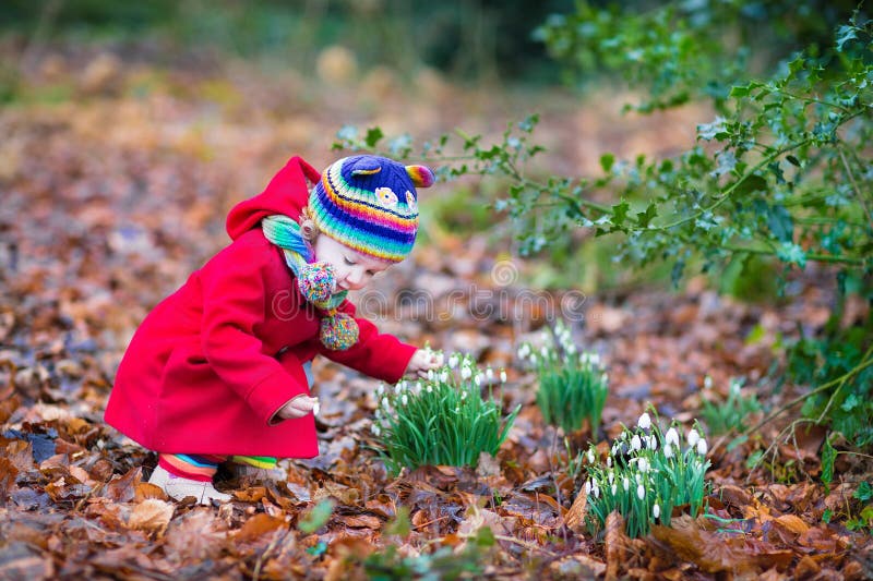 Flores del snowdrop de la pequeña niña pequeña que huelen linda fotografía de archivo libre de regalías Flores del snowdrop de la pequeña niña pequeña que huelen linda fotografía de archivo libre de regalías