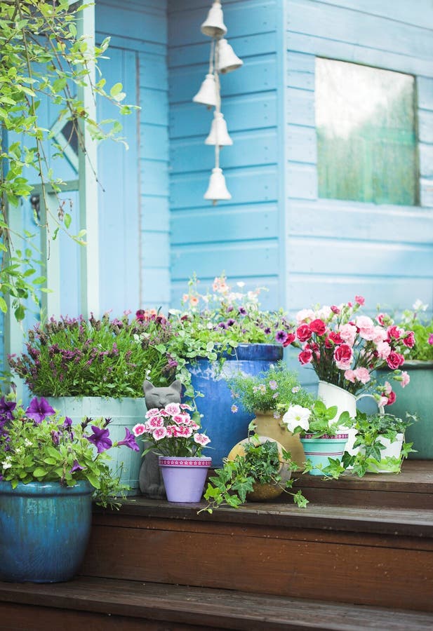 Potted summer flowers, decking and garden shed. Potted summer flowers, decking and garden shed