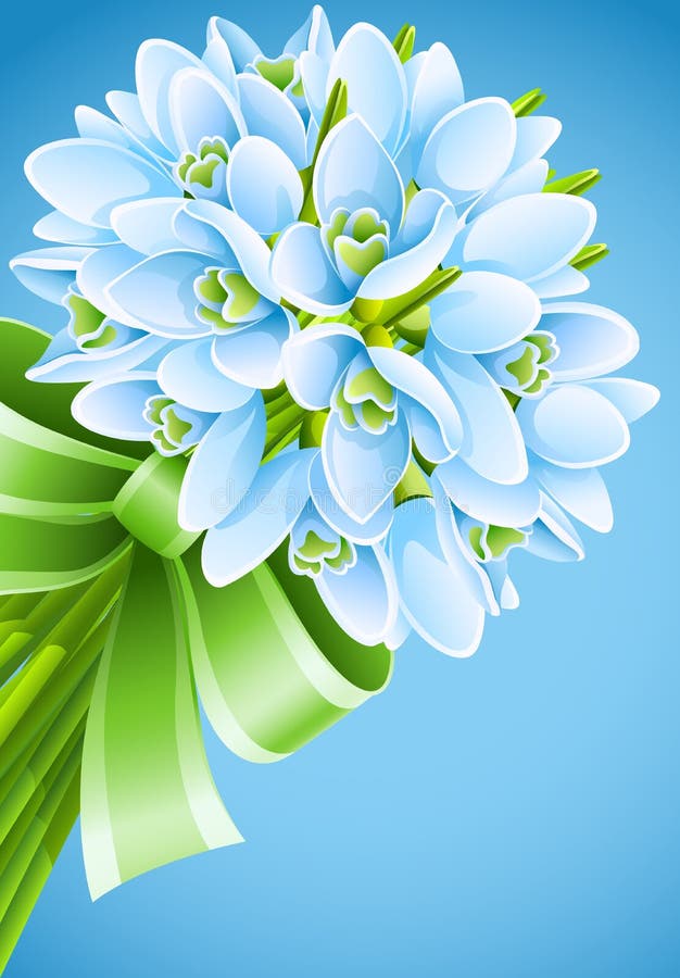 Flores do snowdrop da mola com fita verde ilustração stock Flores do snowdrop da mola com fita verde ilustração stock