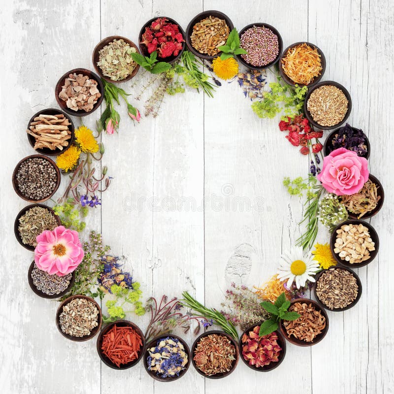 Natural flower and herb selection used in herbal medicine in bowls and loose forming a circle over distressed wooden background. Natural flower and herb selection used in herbal medicine in bowls and loose forming a circle over distressed wooden background.