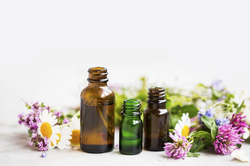 Flores e garrafas de óleo essencial das ervas, wi naturais da aromaterapia