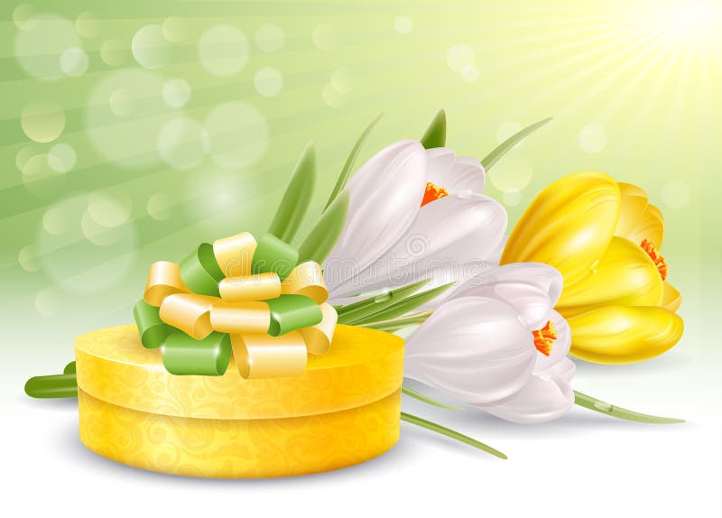 Flores e presente ilustração royalty free