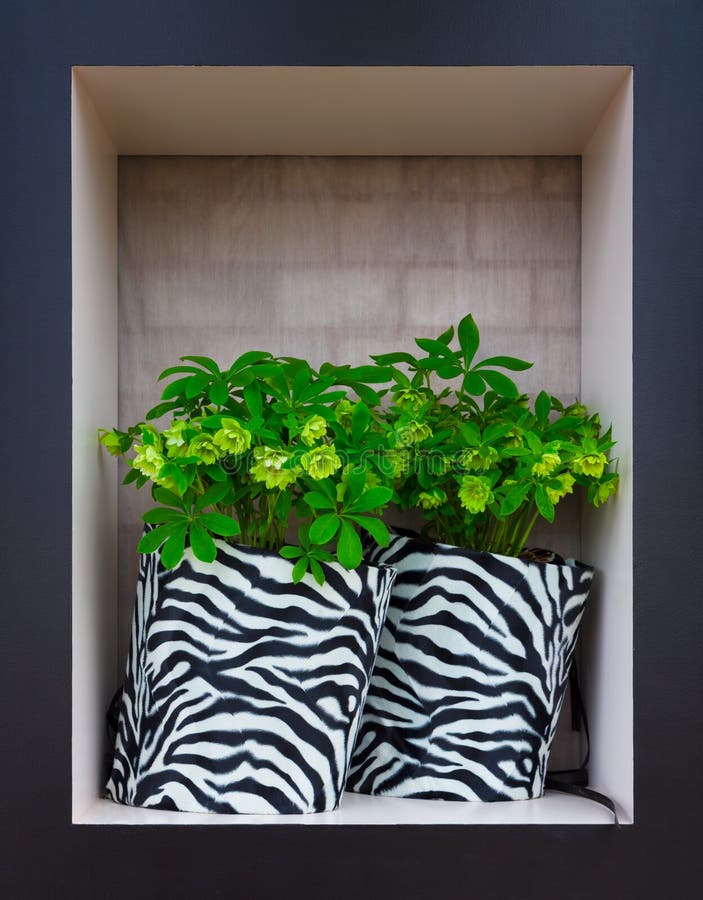 Flores em uns potenciômetros preto e branco listrados imagem de stock Flores em uns potenciômetros preto e branco listrados imagem de stock