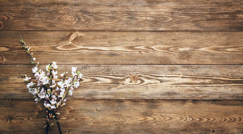 Flores En El Fondo De Madera De La Textura Imagen de archivo - Imagen de tablones, travieso: 41268415 Flores En El Fondo De Madera De La Textura Imagen de archivo - Imagen de tablones, travieso: 41268415