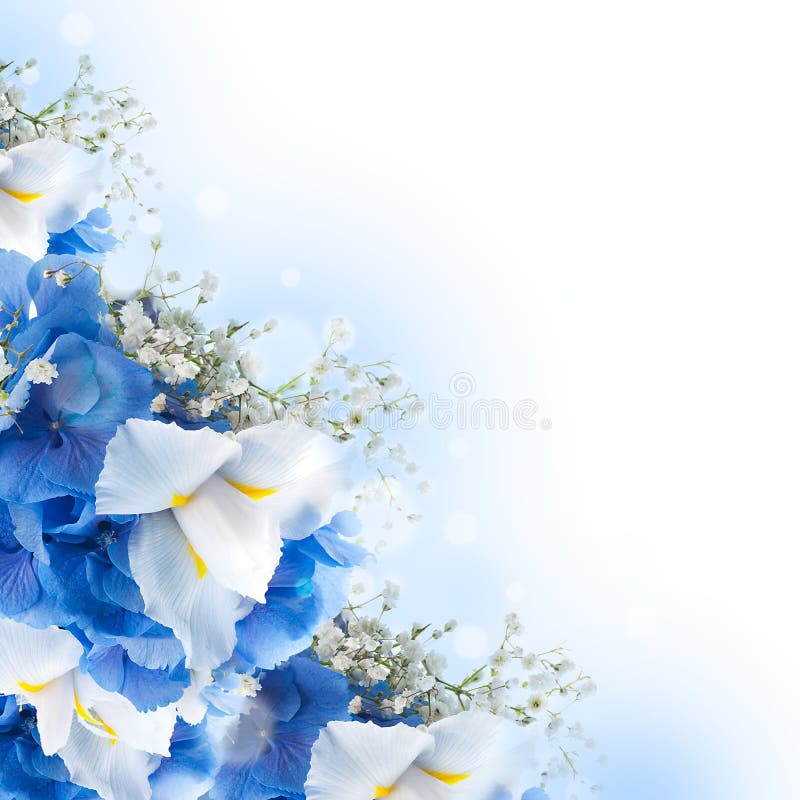 Flores en un ramo, hydrangeas azules foto de archivo