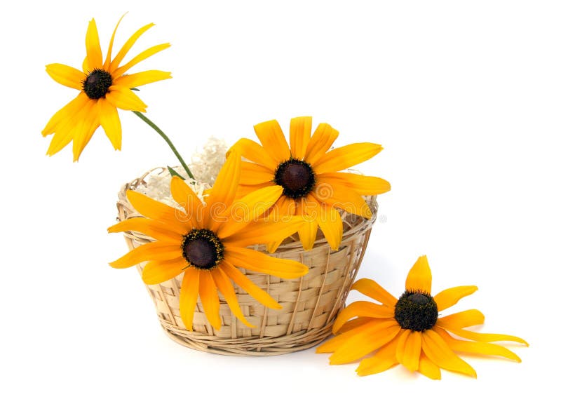 Flores en una cesta imágenes de archivo libres de regalías Flores en una cesta imágenes de archivo libres de regalías