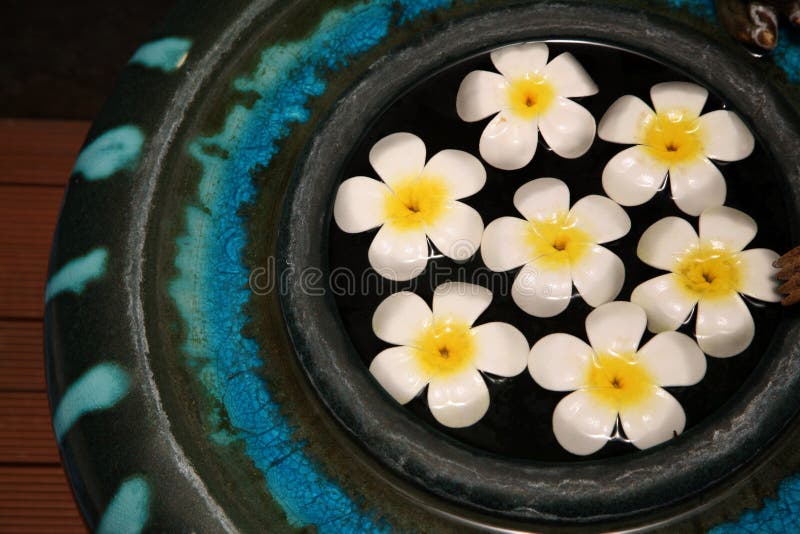 Flores flotantes foto de archivo libre de regalías Flores flotantes foto de archivo libre de regalías
