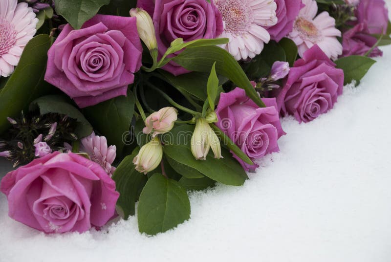Flores fúnebres en la nieve en un cementerio fotografía de archivo libre de regalías Flores fúnebres en la nieve en un cementerio fotografía de archivo libre de regalías
