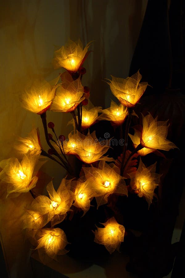 Flores iluminadas archivo. Imagen de hermoso 12297545