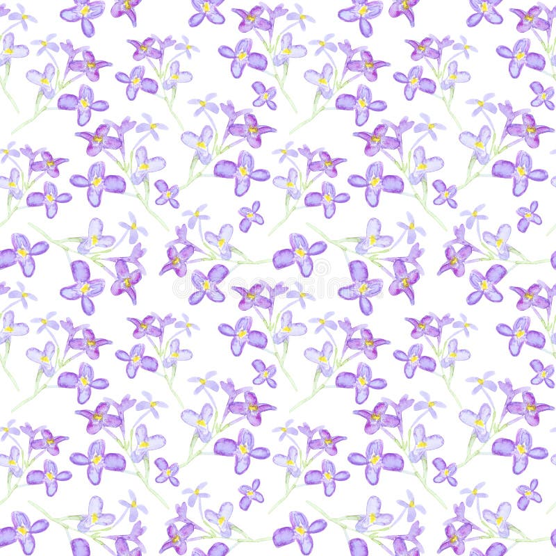 Flores Lilas Color Agua, Patrón Transparente Fondo Del Muelle Stock de  ilustración - Ilustración de arte, textil: 169105248