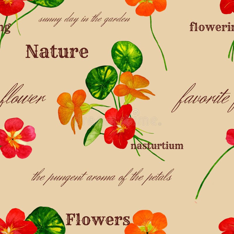 Flores nasturtium brilhantes com inscrições sobre fundo da cor do café com leite. fotografia de stock royalty free